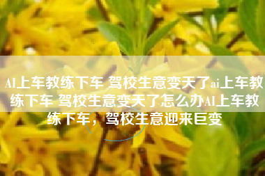 AI上车教练下车 驾校生意变天了ai上车教练下车 驾校生意变天了怎么办AI上车教练下车，驾校生意迎来巨变