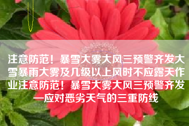 注意防范！暴雪大雾大风三预警齐发大雪暴雨大雾及几级以上风时不应露天作业注意防范！暴雪大雾大风三预警齐发—应对恶劣天气的三重防线