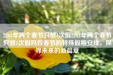 2262年两个春节只放1次假2262年两个春节只放1次假吗双春节的特殊假期安排，探寻未来的新篇章