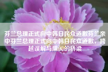 芬兰总理正式向中韩日民众道歉芬兰亲中芬兰总理正式向中韩日民众道歉，跨越误解与隔阂的桥梁