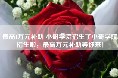 最高1万元补助 小哥学院招生了小哥学院招生啦，最高万元补助等你来！