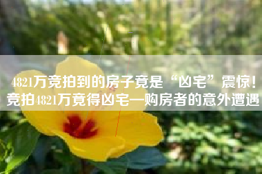 4821万竞拍到的房子竟是“凶宅”震惊！竞拍4821万竟得凶宅—购房者的意外遭遇