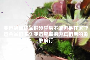 亚运冠军称举报领导后不敢再呆在家亚运会举报多久亚运冠军揭露真相后的勇敢前行