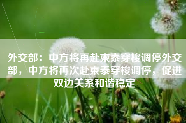 外交部：中方将再赴柬泰穿梭调停外交部，中方将再次赴柬泰穿梭调停，促进双边关系和谐稳定