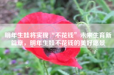 明年生娃将实现“不花钱”未来生育新篇章，明年生娃不花钱的美好愿景