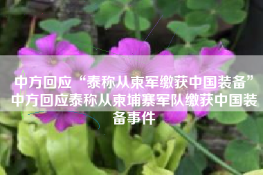 中方回应“泰称从柬军缴获中国装备”中方回应泰称从柬埔寨军队缴获中国装备事件