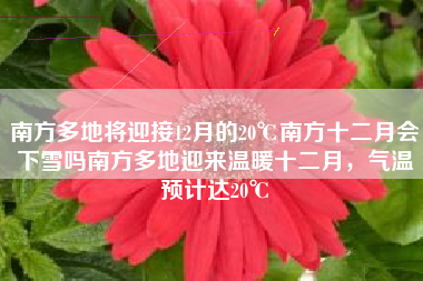 南方多地将迎接12月的20℃南方十二月会下雪吗南方多地迎来温暖十二月，气温预计达20℃