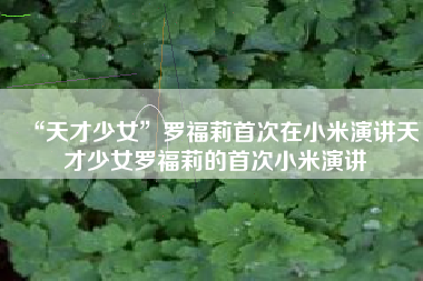 “天才少女”罗福莉首次在小米演讲天才少女罗福莉的首次小米演讲