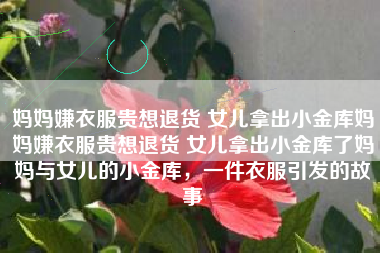 妈妈嫌衣服贵想退货 女儿拿出小金库妈妈嫌衣服贵想退货 女儿拿出小金库了妈妈与女儿的小金库，一件衣服引发的故事