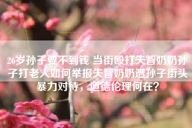 26岁孙子要不到钱 当街殴打失智奶奶孙子打老人如何举报失智奶奶遭孙子街头暴力对待，道德伦理何在？