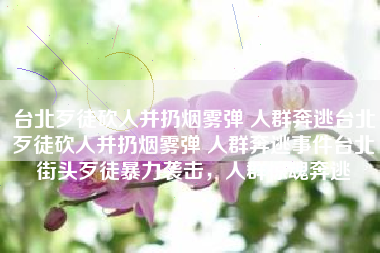 台北歹徒砍人并扔烟雾弹 人群奔逃台北歹徒砍人并扔烟雾弹 人群奔逃事件台北街头歹徒暴力袭击，人群惊魂奔逃