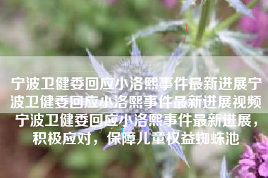 宁波卫健委回应小洛熙事件最新进展宁波卫健委回应小洛熙事件最新进展视频宁波卫健委回应小洛熙事件最新进展，积极应对，保障儿童权益蜘蛛池