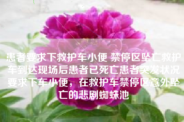 患者要求下救护车小便 禁停区坠亡救护车到达现场后患者已死亡患者突发状况要求下车小便，在救护车禁停区意外坠亡的悲剧蜘蛛池