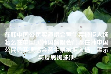 在韩中国公民买演唱会黄牛票被拒入场怎么在中国买韩国演唱会门票在韩中国公民购买演唱会黄牛票被拒入场，警示与反思蜘蛛池