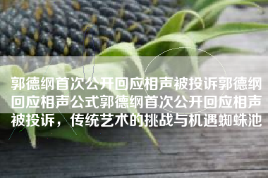 郭德纲首次公开回应相声被投诉郭德纲回应相声公式郭德纲首次公开回应相声被投诉，传统艺术的挑战与机遇蜘蛛池