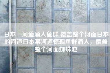 日本一河道涌入鱼群 覆盖整个河面日本的河道日本某河道惊现鱼群涌入，覆盖整个河面蜘蛛池