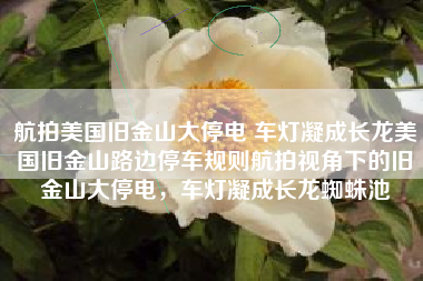 航拍美国旧金山大停电 车灯凝成长龙美国旧金山路边停车规则航拍视角下的旧金山大停电，车灯凝成长龙蜘蛛池