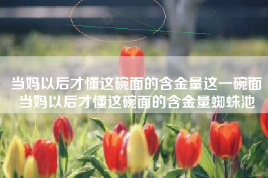 当妈以后才懂这碗面的含金量这一碗面当妈以后才懂这碗面的含金量蜘蛛池