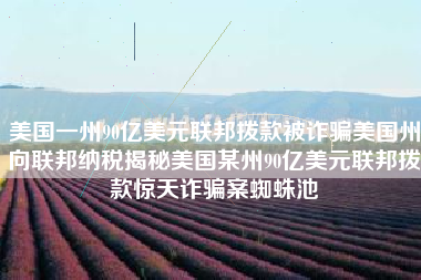 美国一州90亿美元联邦拨款被诈骗美国州向联邦纳税揭秘美国某州90亿美元联邦拨款惊天诈骗案蜘蛛池