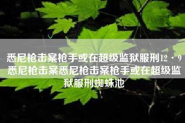 悉尼枪击案枪手或在超级监狱服刑12·9悉尼枪击案悉尼枪击案枪手或在超级监狱服刑蜘蛛池