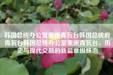 韩国总统办公室重返青瓦台韩国总统府青瓦台韩国总统办公室重返青瓦台，历史与现代交融的新篇章蜘蛛池