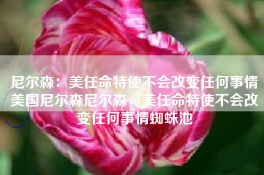 尼尔森：美任命特使不会改变任何事情美国尼尔森尼尔森，美任命特使不会改变任何事情蜘蛛池