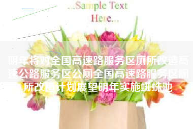 明年将对全国高速路服务区厕所改造高速公路服务区公厕全国高速路服务区厕所改造计划展望明年实施蜘蛛池