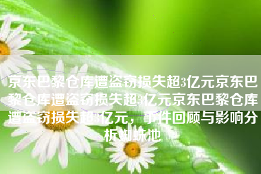 京东巴黎仓库遭盗窃损失超3亿元京东巴黎仓库遭盗窃损失超3亿元京东巴黎仓库遭盗窃损失超3亿元，事件回顾与影响分析蜘蛛池