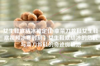 女生鞋底结冰被定住 拿菜刀救鞋女生鞋底视频冰寒时刻，女生鞋底结冰的危机与菜刀救鞋的奇迹蜘蛛池