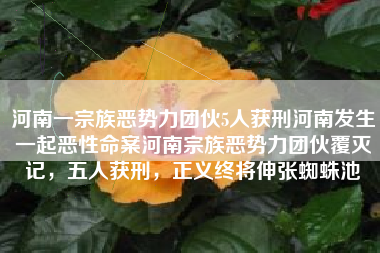 河南一宗族恶势力团伙5人获刑河南发生一起恶性命案河南宗族恶势力团伙覆灭记，五人获刑，正义终将伸张蜘蛛池