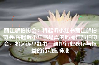 丽江旅拍协会：将起诉小红书丽江旅拍协会:将起诉小红书是真的吗丽江旅拍协会，将起诉小红书—维护行业秩序与权益的行动蜘蛛池