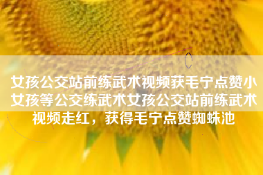 女孩公交站前练武术视频获毛宁点赞小女孩等公交练武术女孩公交站前练武术视频走红，获得毛宁点赞蜘蛛池