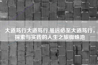大道笃行大道笃行,虽远必至大道笃行，探索与实践的人生之旅蜘蛛池