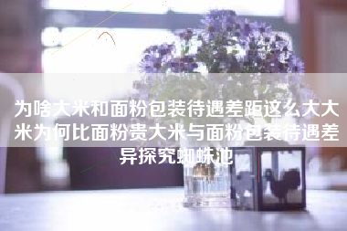为啥大米和面粉包装待遇差距这么大大米为何比面粉贵大米与面粉包装待遇差异探究蜘蛛池