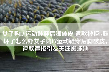 女子购LV运动鞋穿后脚破皮 退款被拒lv鞋坏了怎么办女子购LV运动鞋穿后脚破皮，退款遭拒引发关注蜘蛛池