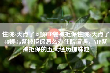 住院5天点了48顿VIP餐被拒保住院5天点了48顿vip餐被拒保怎么办住院遭遇，VIP餐被拒保的五天经历蜘蛛池