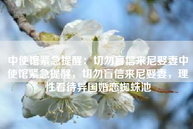 中使馆紧急提醒：切勿盲信来尼娶妻中使馆紧急提醒，切勿盲信来尼娶妻，理性看待异国婚恋蜘蛛池