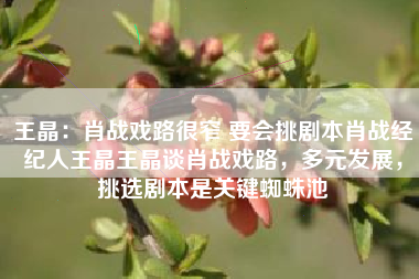 王晶：肖战戏路很窄 要会挑剧本肖战经纪人王晶王晶谈肖战戏路，多元发展，挑选剧本是关键蜘蛛池