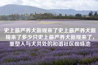 史上最严养犬新规来了史上最严养犬新规来了多少只史上最严养犬新规来了，重塑人与犬共处的和谐社区蜘蛛池