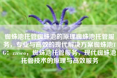 蜘蛛池托管蜘蛛池的原理蜘蛛池托管服务，专业与高效的现代解决方案蜘蛛池TG：zzcseo，蜘蛛池托管服务，现代蜘蛛池托管技术的原理与高效服务