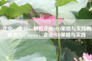 企业seo企业seo职位企业SEO策略与实践蜘蛛池TG：zzcseo，企业SEO策略与实践