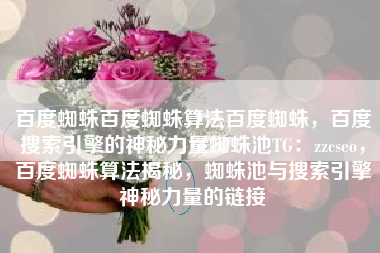 百度蜘蛛百度蜘蛛算法百度蜘蛛,百度搜索引擎的神秘力量蜘蛛池TG:zzcseo,百度蜘蛛算法揭秘,蜘蛛池与搜索引擎神秘力量的链接