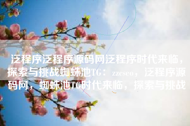 泛程序泛程序源码网泛程序时代来临，探索与挑战蜘蛛池TG：zzcseo，泛程序源码网，蜘蛛池TG时代来临，探索与挑战