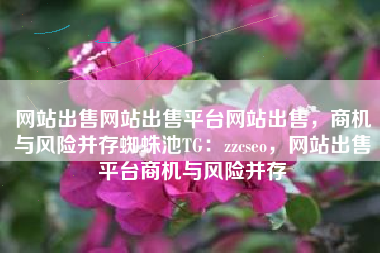 网站出售网站出售平台网站出售，商机与风险并存蜘蛛池TG：zzcseo，网站出售平台商机与风险并存