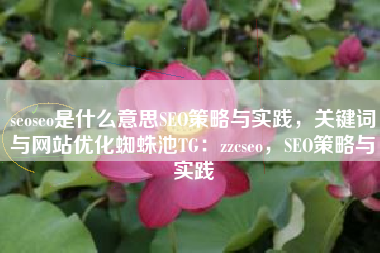 seoseo是什么意思SEO策略与实践，关键词与网站优化蜘蛛池TG：zzcseo，SEO策略与实践
