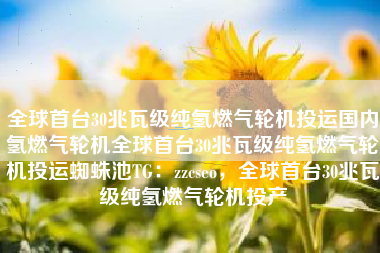 全球首台30兆瓦级纯氢燃气轮机投运国内氢燃气轮机全球首台30兆瓦级纯氢燃气轮机投运蜘蛛池TG：zzcseo，全球首台30兆瓦级纯氢燃气轮机投产