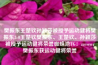 樊振东王楚钦孙颖莎被授予运动健将樊振东3-0王楚钦樊振东、王楚钦、孙颖莎被授予运动健将荣誉蜘蛛池TG：zzcseo，樊振东获运动健将荣誉