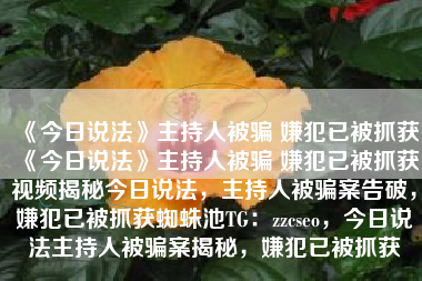 《今日说法》主持人被骗 嫌犯已被抓获《今日说法》主持人被骗 嫌犯已被抓获视频揭秘今日说法，主持人被骗案告破，嫌犯已被抓获蜘蛛池TG：zzcseo，今日说法主持人被骗案揭秘，嫌犯已被抓获