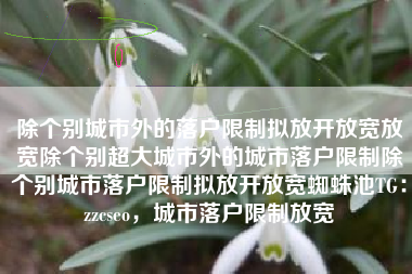 除个别城市外的落户限制拟放开放宽放宽除个别超大城市外的城市落户限制除个别城市落户限制拟放开放宽蜘蛛池TG：zzcseo，城市落户限制放宽