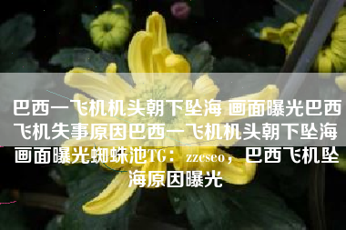 巴西一飞机机头朝下坠海 画面曝光巴西飞机失事原因巴西一飞机机头朝下坠海画面曝光蜘蛛池TG：zzcseo，巴西飞机坠海原因曝光